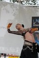 BUGA2011   191